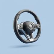 Multimedia Steering Wheel
