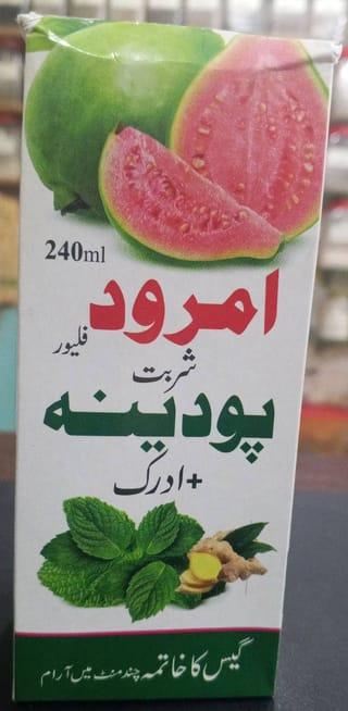 Guava Mint Ginger Digestive Syrup
