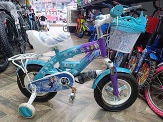 Frozen Kids Training Bicycle