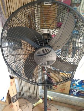 Royal Deluxe Pedestal Fan