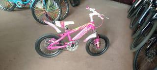 Kids Pink Mountain Bicycle